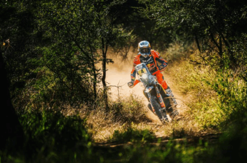 Sanders y Benavides celebraron un gran triunfo de KTM en el Rally Safari