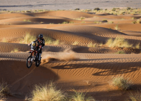 Tosha Schareina y otro pequeño descuento