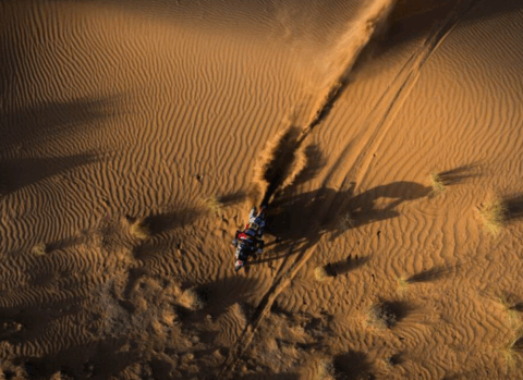 Schareina quebró a Sanders y se relame