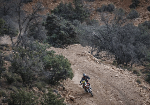 Schareina ganó la segunda y recortó a Sanders