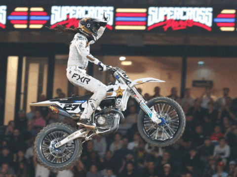 Malcolm Stewart, el Rey de París