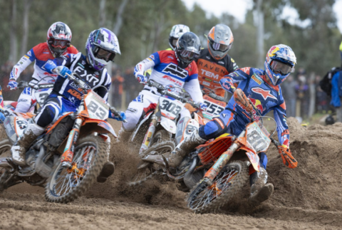 Los hermanos Coenen dominaron en Alghero