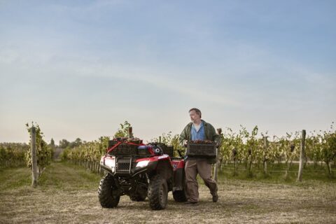 El cuatriciclo nacional de Honda, ya tiene precio oficial